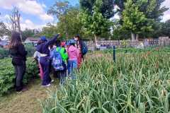 WhatsApp-Image-2025-05-12-at-15.33.01-1