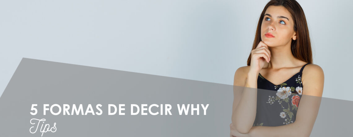 decir why de manera diferente en inglés