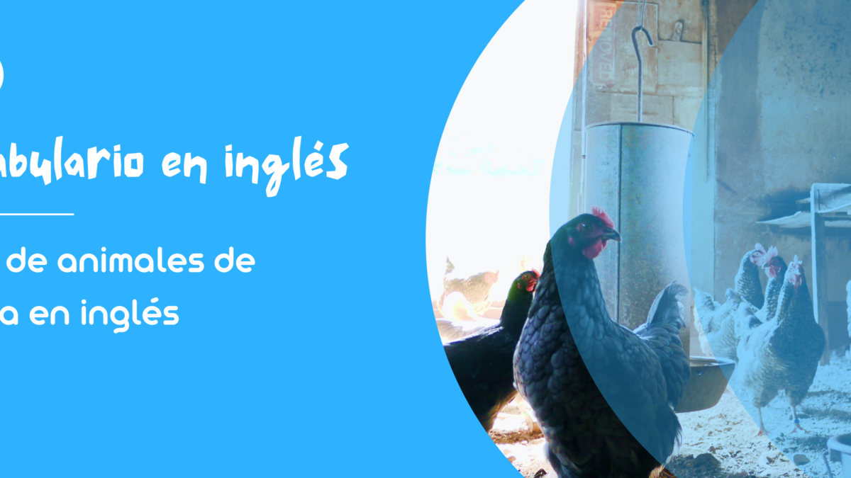 35 animales que empiezan por L que debes conocer - ¡En español y en inglés!