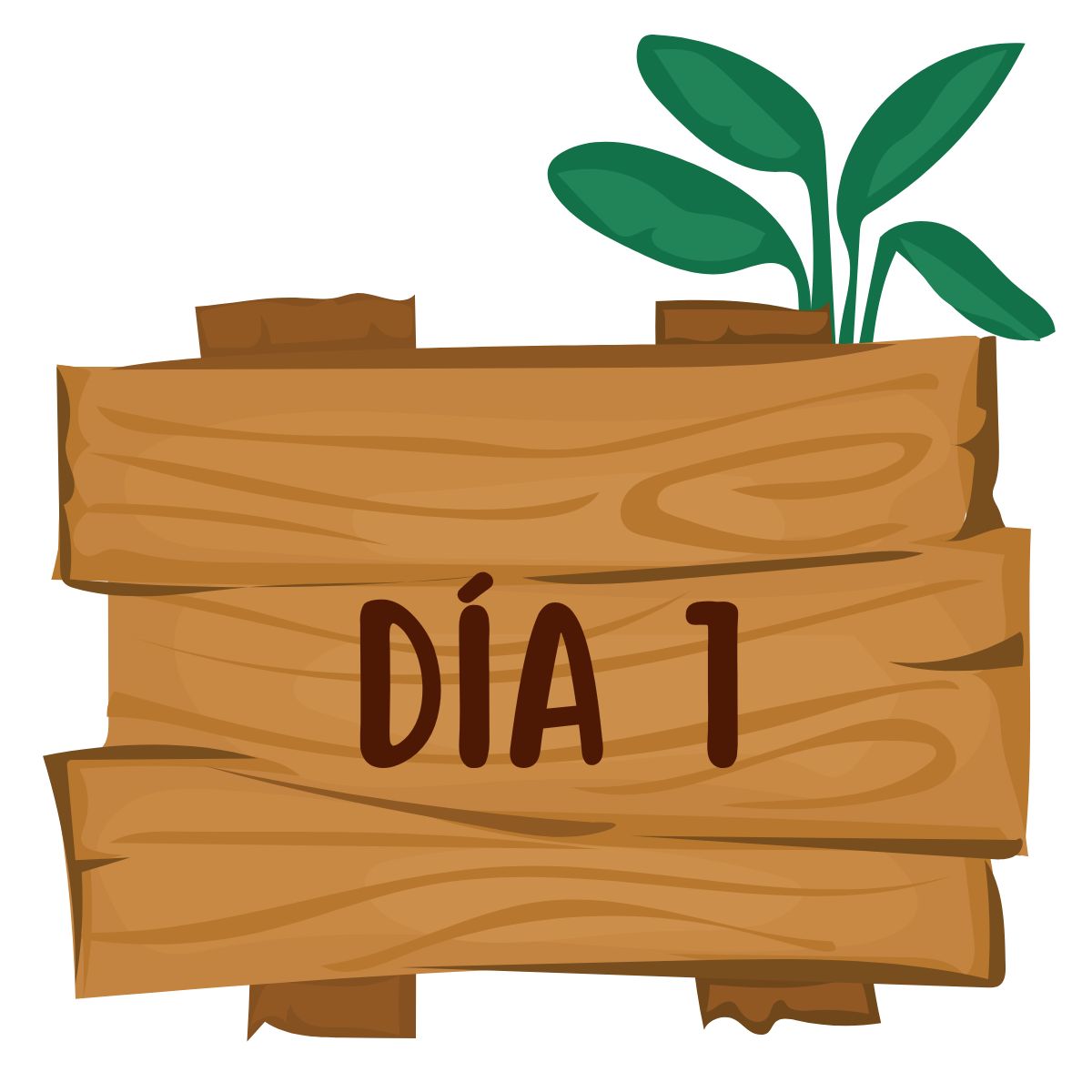 Día 1