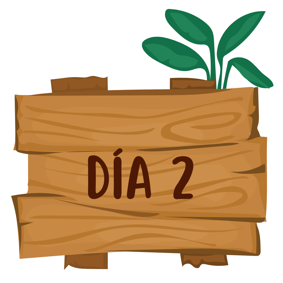 Día 1
